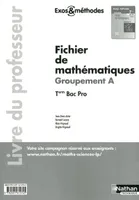 Fichier de Mathématiques Groupement A - Tle Bac Pro Exos et méthodes Livre du professeur