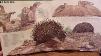 Les étonnants animaux d'Australie (Livre animé Pop-up à système)