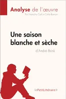Une saison blanche et sèche d'André Brink (Analyse de l'oeuvre), Analyse complète et résumé détaillé de l'oeuvre