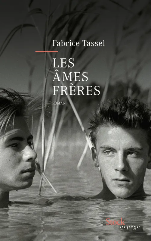 Livres Littérature et Essais littéraires Romans contemporains Francophones Les âmes frères / roman Fabrice Tassel