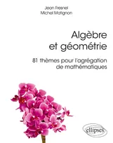 Algèbre et géométrie - 81 thèmes pour l'agrégation de mathématiques