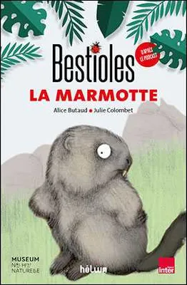 Bestioles - Le Marmotton