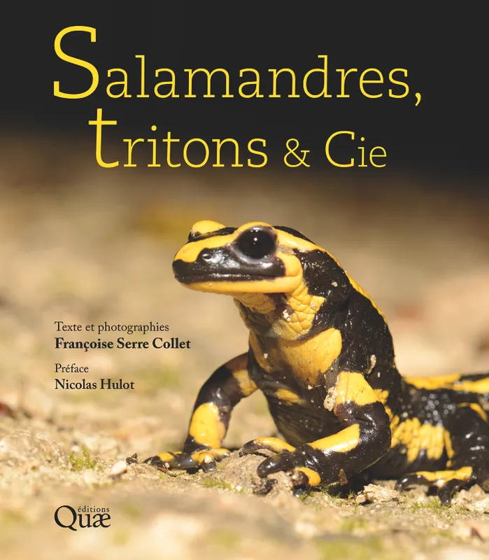 Livres Écologie et nature Nature Beaux Livres Salamandres, tritons et Cie, Préface Nicolas Hulot Françoise Serre-Collet