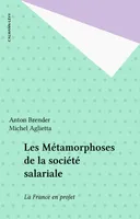 Les Métamorphoses de la société salariale, La France en projet