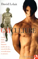 Gayculture, Codes, looks, idoles, humour, modes de vie, sens de la fête, revendications et attentes