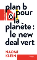 Plan B pour la planète , Le New Deal vert