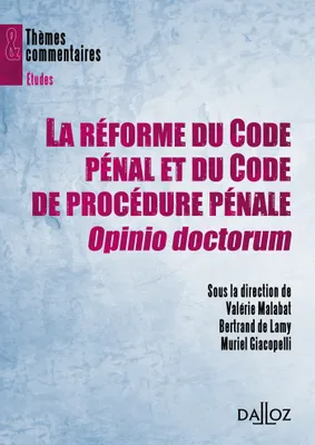 La réforme du Code pénal et du Code de procédure pénale, Opinio doctorum, Thèmes et commentaires