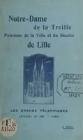Notre-Dame de la Treille, Patronne de la ville et du diocèse de Lille