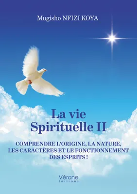 La vie spirituelle II, Comprendre l'origine, la nature, les caractères et le fonctionnement des esprits !