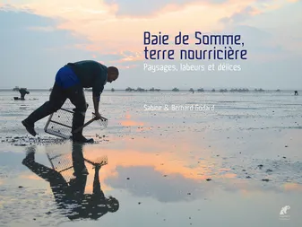 Baie de Somme, terre nourricière · Paysages, labeurs et délices