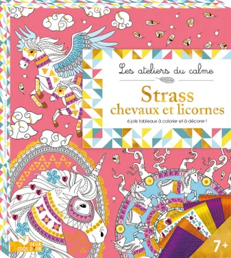 Strass Chevaux et licornes - pochette avec accessoire