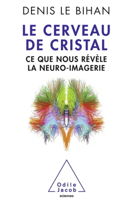 Le Cerveau de cristal, Ce que nous révèle la neuro-imagerie