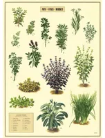 poster fines herbes