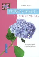 Hortensias & hydrangeas, comment les choisir et les cultiver facilement