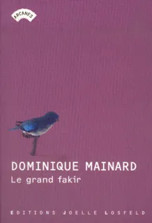 Le Grand Fakir, roman