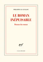 Le Roman inépuisable / roman du roman, Roman du roman