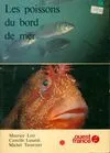Les poissons du bord de mer