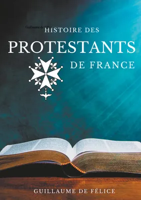 Histoire des protestants de France, La religion protestante et le protestantisme des huguenots, luthériens, calvinistes, vu par les synodes des églises réformées de France