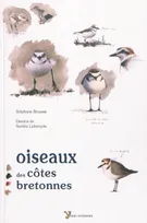 Les oiseaux des côtes bretonnes