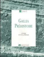 Gallia préhistoire 49