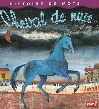 Histoire de mots / Le cheval de nuit***