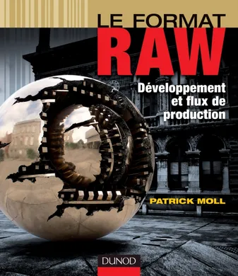 Le format RAW - Développement et flux de production, Développement et flux de production