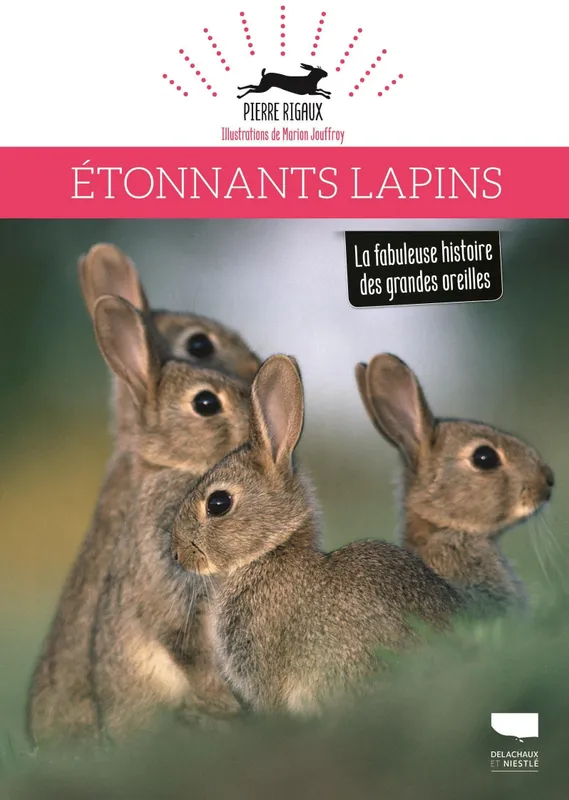 Livres Écologie et nature Nature Faune Étonnants lapins, La fabuleuse histoire des grandes oreilles Pierre Rigaux