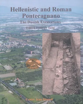 Hellenistic and Roman Pontecagnano - the Danish excavations in Proprietà Avallone, 1986-1990, the Danish excavations in Proprietà Avallone, 1986-1990
