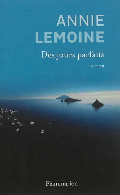Des jours parfaits, roman Annie Lemoine