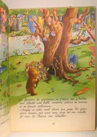 Histoire de Miutchi le petit ours brun