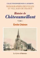 Tome I, Histoire de Châteaumeillant