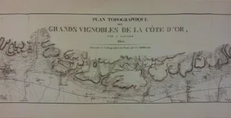 Plan topographique des grands vignobles de la Côte d'Or par le Dr J. Lavalle 1855, Dessiné et lithographié à la plume par Ch. Normand (plan sur toile 199x42 cm)