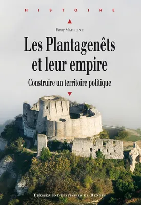 Les Plantagenêts et leur empire, Construire un territoire politique