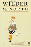 Mr. North, roman