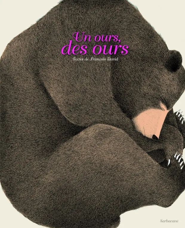 Livres Jeunesse de 3 à 6 ans Albums Ours, des ours (Un) François David