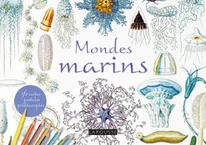 Cartes postales à colorier : Mondes marins