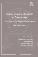 Droit, pouvoir et société au Moyen Âge, Mélanges en l'honneur d'Yves Sassier