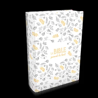 Bible Segond 21 Journal de bord : couverture Vivella motifs
