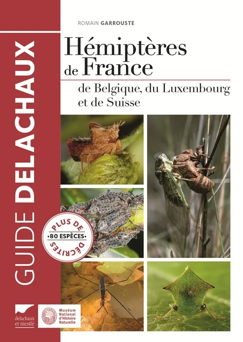 Livres Écologie et nature Nature Faune Hémiptères de France, de Belgique, du Luxembourg et de Suisse Romain Garrouste