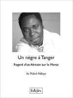 Un nègre à Tanger, Regard d'un Africain sur le Maroc