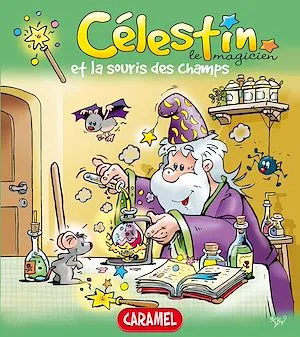 Célestin le magicien et la souris des champs, Une merveilleuse histoire pour enfants