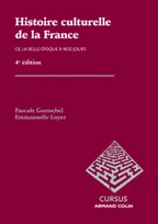 Histoire culturelle de la France, De la Belle Epoque à nos jours