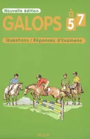 Galops 5 à 7, Questions / réponses d'examen