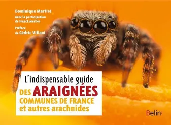 L'indispensable guide des araignées communes de France et autres arachnides
