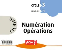 Fichier Numération Opérations CM2 NIVEAU 1 Fichier 9