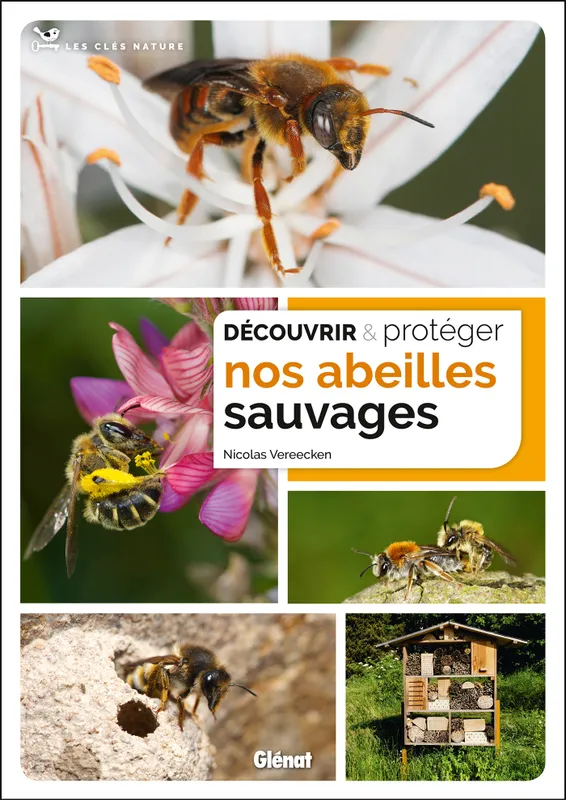 Livres Écologie et nature Nature Faune Découvrir et protéger nos abeilles sauvages Nicolas Vereecken