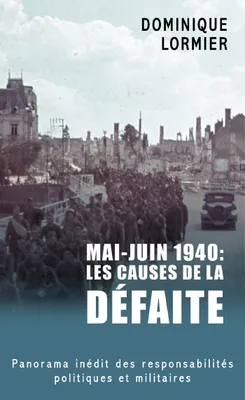 Mai-juin 1940, Les causes de la défaite