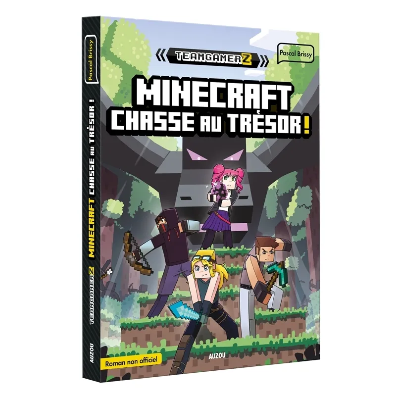 Teamgamerz, 2, Minecraft, Chasse au trésor ! Pascal Brissy
