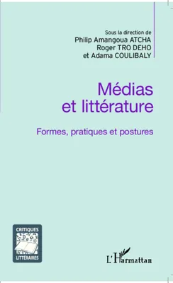 Médias et littérature, Formes, pratiques et postures