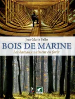 BOIS DE MARINE, les bateaux naissent en forêt